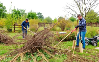 3 outils indispensables pour bien s’occuper d’une grande propriété